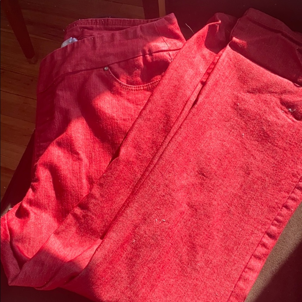 Red D&co 18W pants